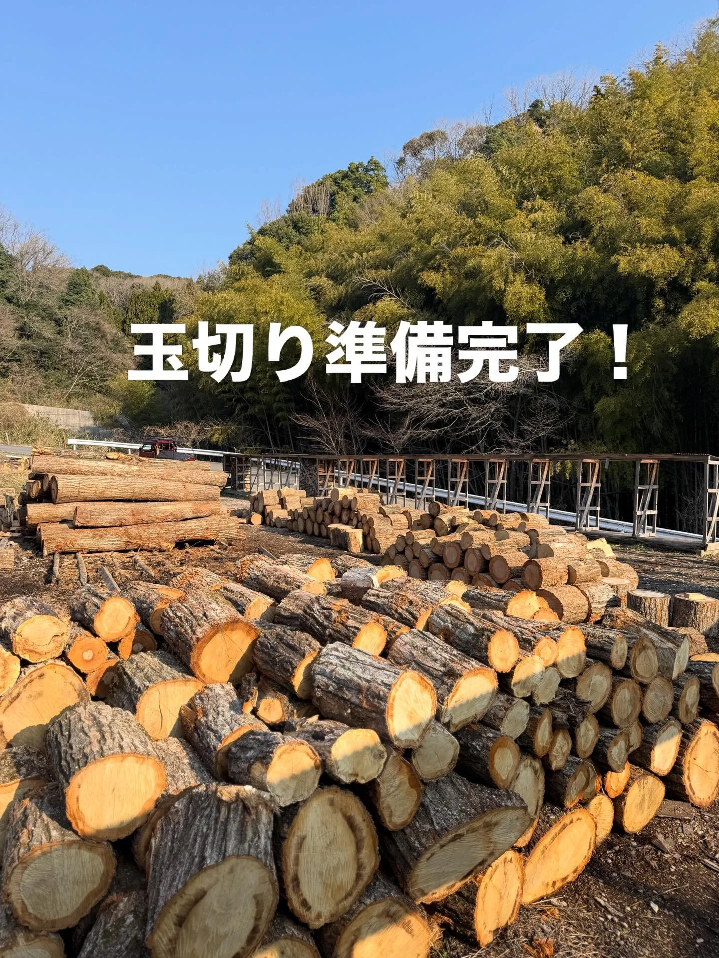 #よだれのでそうなナラ玉ばかり